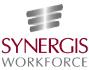 Synergis | Workforce